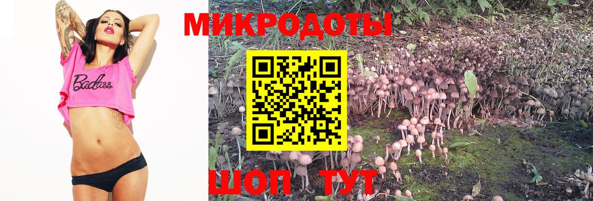 Галлюциногенные грибы мицелий  Псилоцибиновые грибы прущие грибы  Алексеевка  Вход с VPN 