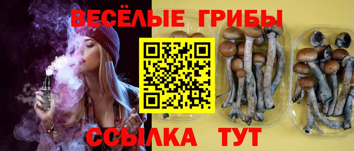 Галлюциногенные грибы Cubensis Алексеевка